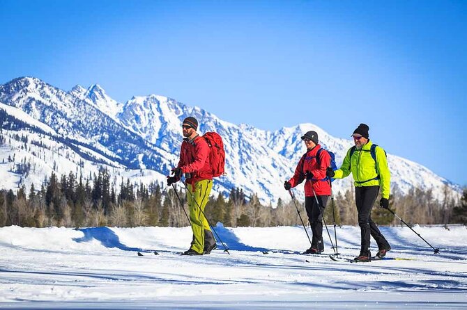 4 Hour Beginner Cross Country Skiing in Grand Teton - Key points to know before you book