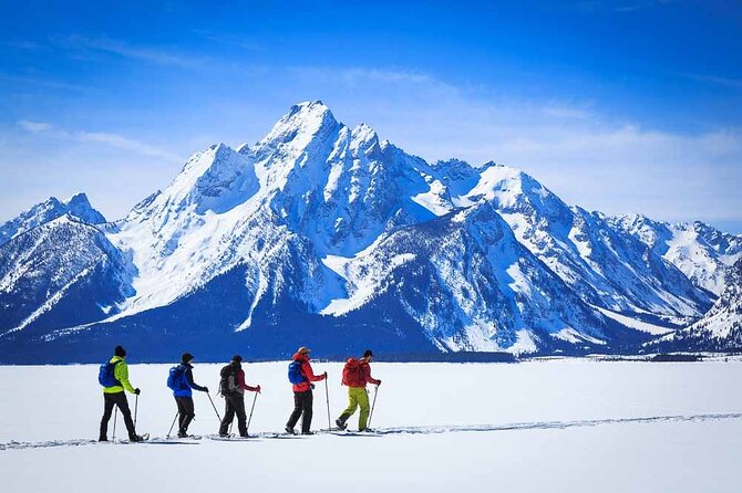 4 Hour Beginner Cross Country Skiing in Grand Teton - Learning the five basic Nordic techniques