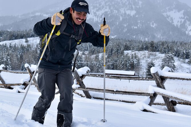 4 Hour Beginner Cross Country Skiing in Grand Teton - A relaxed half-day in the winter park