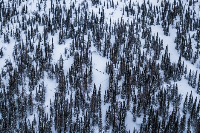 6-Day Kazakhstan Ridder Camp Ski Private Guided Tour and Adventure - Key points to know before booking
