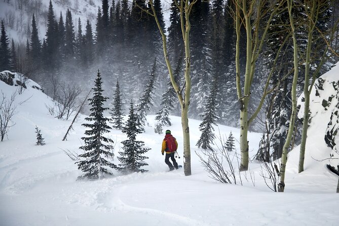 6-Day Kazakhstan Ridder Camp Ski Private Guided Tour and Adventure - Day 4: Kholodniy ridge and condition-based planning