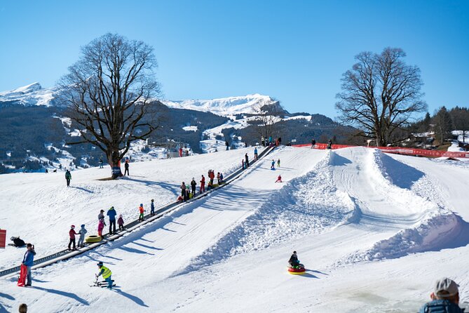 Afternoon Beginner Package Ski in Interlaken - Why Bodmi Arena suits complete beginners