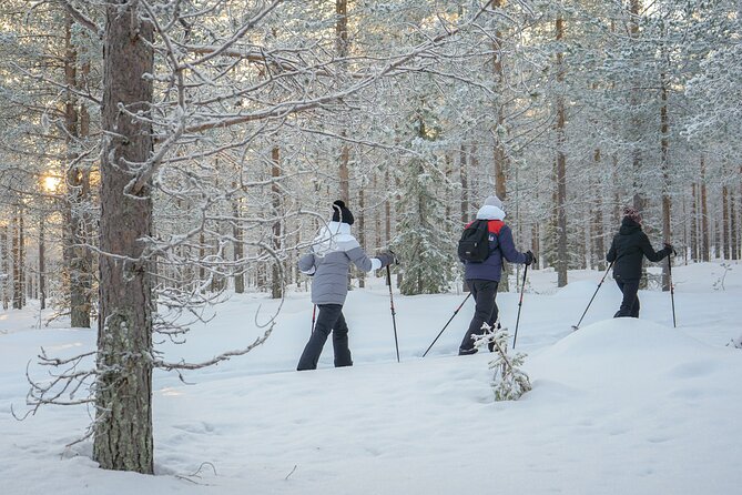 Backcountry Ski Adventure from Rovaniemi - Listening for reindeer and Arctic hares