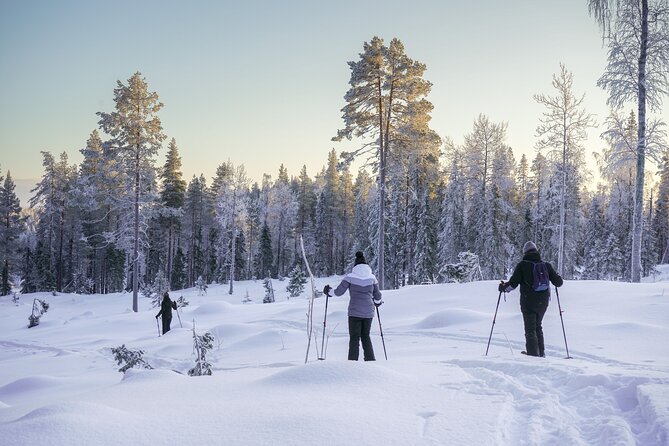 Backcountry Ski Adventure from Rovaniemi - Weather, clothing, and practical limits