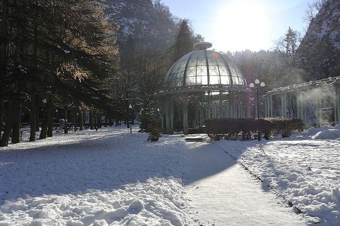 Bakuriani ski resort and the legendary Borjomi (Group Tour) - How to use your time at Bakuriani