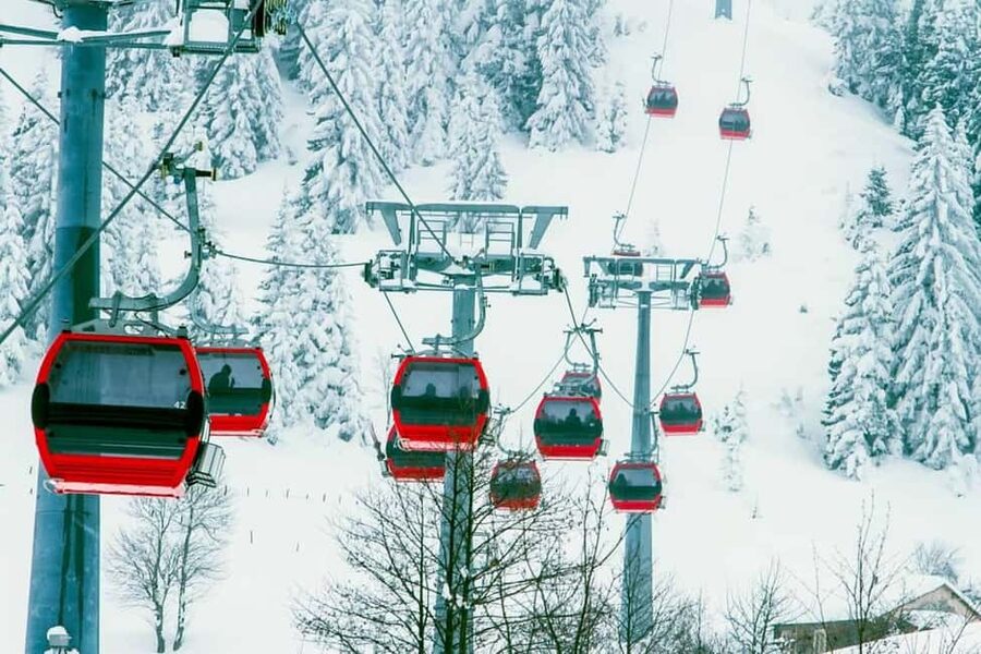 Batumi: Goderdzi Ski Resort Snow Tour & Adventure - A practical look at comfort and timing