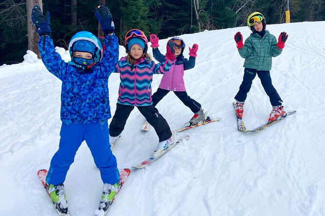 Borovets: Private Ski or Snowboard Tuition - Key points at a glance