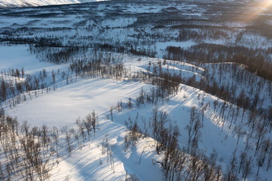 Breivikeidet: Cross-Country Skiing & Husky Visit - Learning the basics before the trail