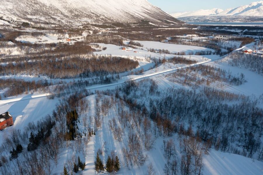 Breivikeidet: Cross-Country Skiing & Husky Visit - Meeting the huskies at the camp