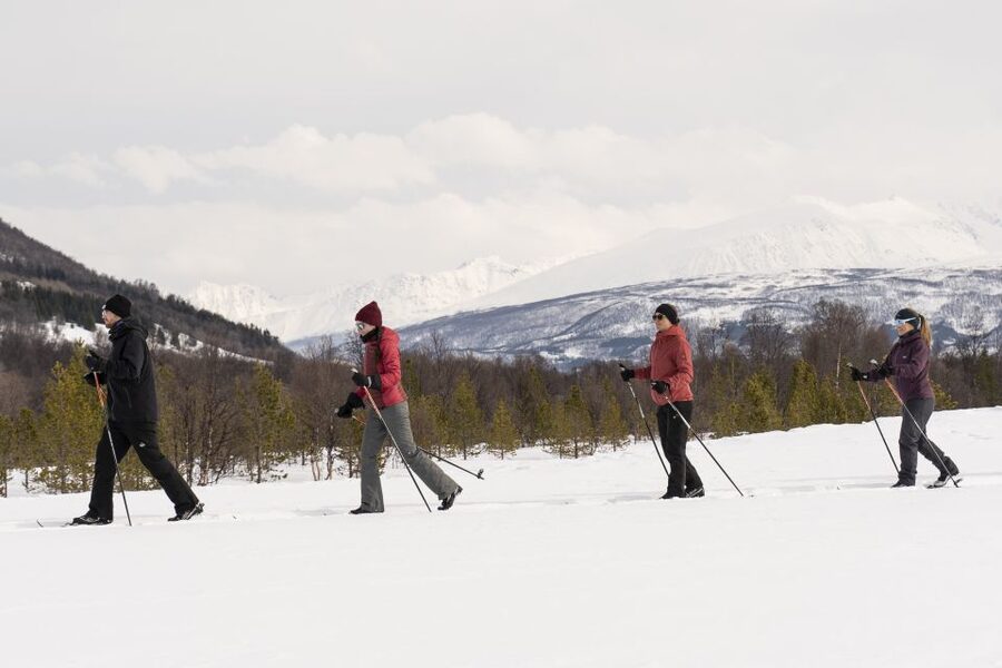 Breivikeidet: Cross-Country Skiing & Husky Visit - What $145 buys you