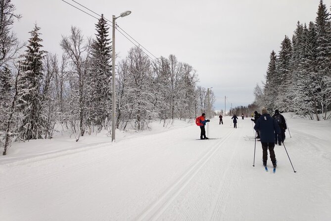 Cross-Country Ski Lesson for Beginners in Tromso - The scenery and the warm break