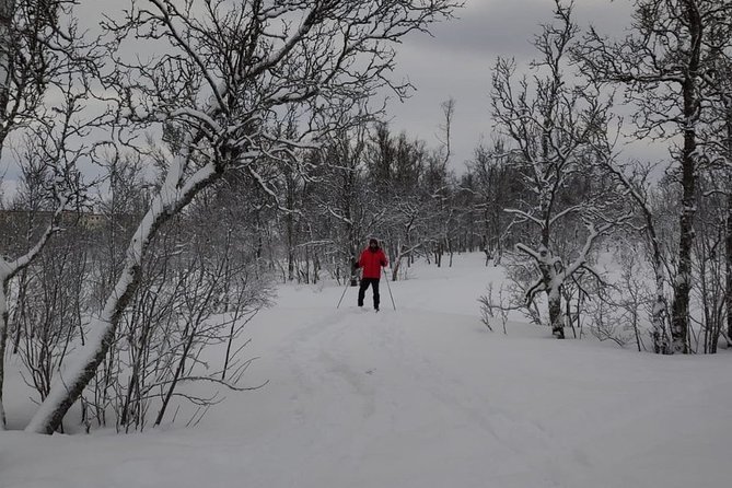 Cross-Country Ski Lesson for Beginners in Tromso - Group size, fitness, and who should book