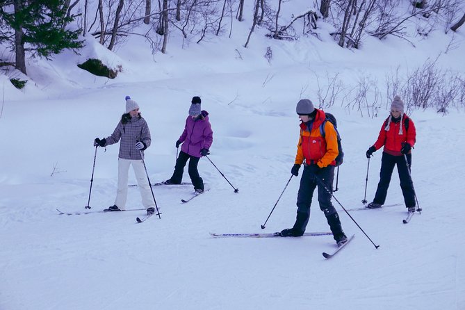 Cross-Country Ski Lesson for Beginners in Tromso - Practical booking details that can save trouble