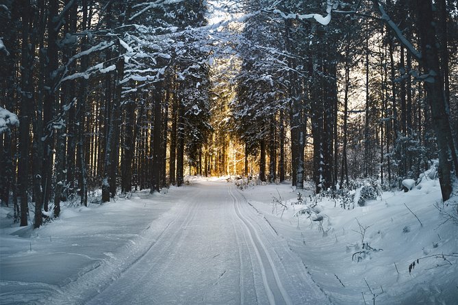 Cross-Country Skiing Guided Tour From Prague - Lunch in Liberec adds a local pause