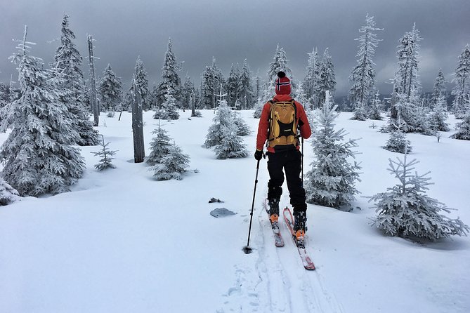 Cross-Country Skiing Guided Tour From Prague - What the $313 price includes