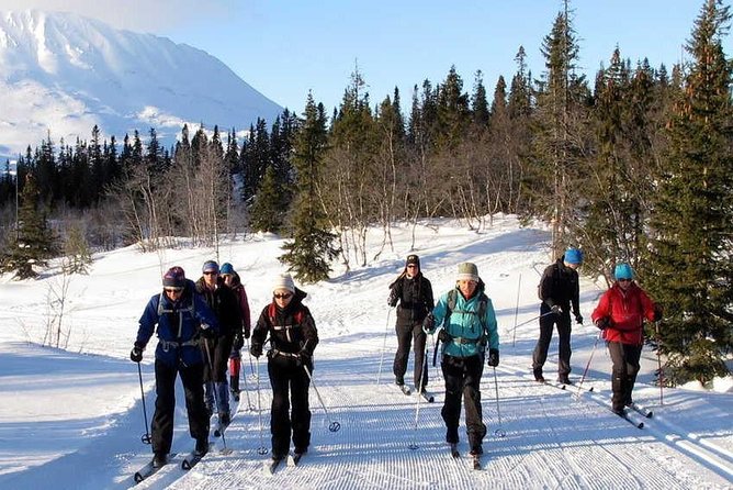 Cross-Country Skiing Guided Tour From Prague - Who should book this mountain day