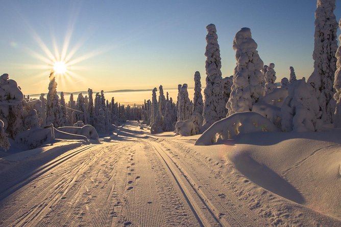 Cross-Country Skiing Guided Tour From Prague - Five hours of skiing through Czech winter scenery