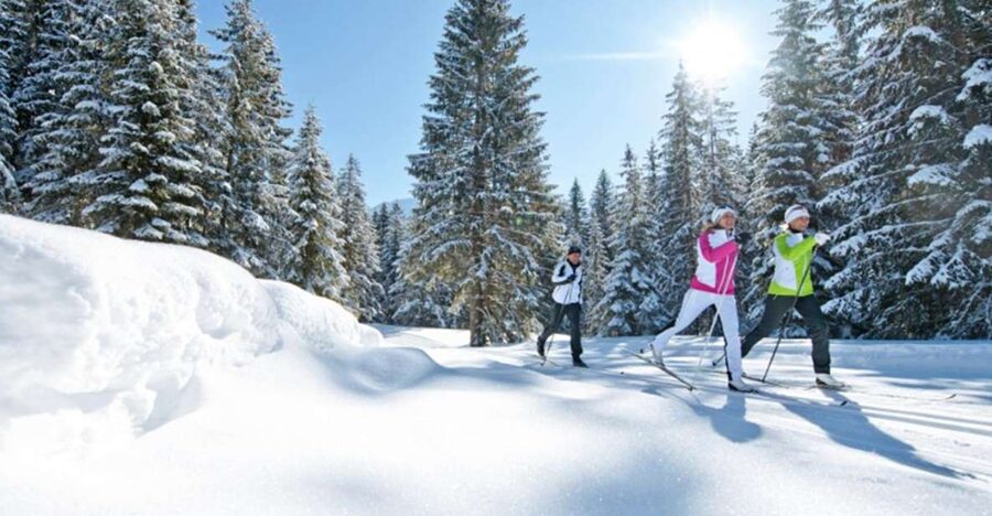 Cross Country Skiing Lessons for Beginners (Feldberg) - Key points at a glance