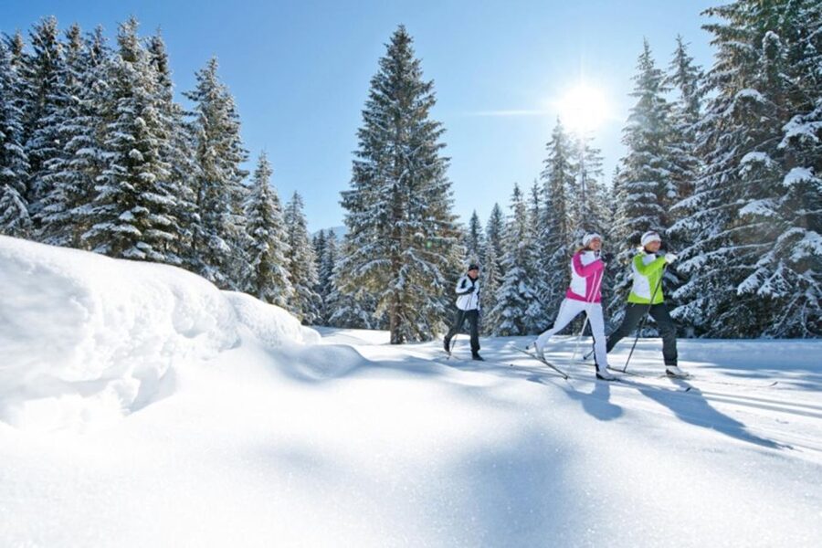 Cross Country Skiing Lessons for Beginners (Feldberg) - Feldberg is a good place to learn the basics