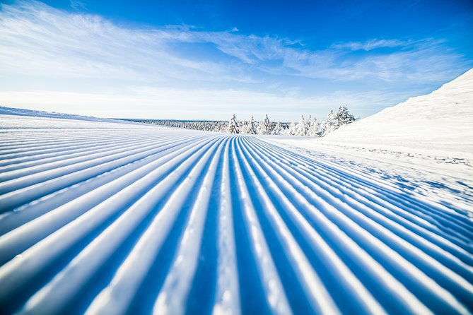 Cross-Country Skiing Trip - What the three-hour Rovaniemi ski trip is really like