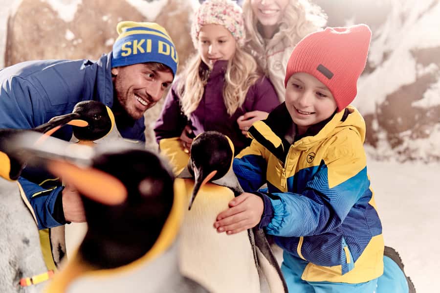 Dubai: Ski Dubai Snow Park Classic Pass - Who will enjoy this most?
