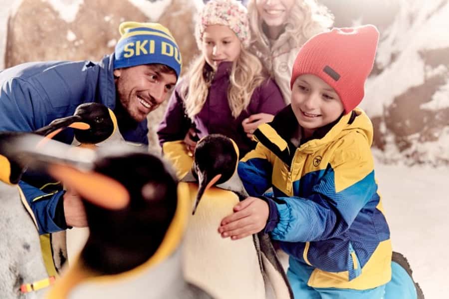 Dubai: Ski Dubai Snow Plus Pass - Who gets the best value?