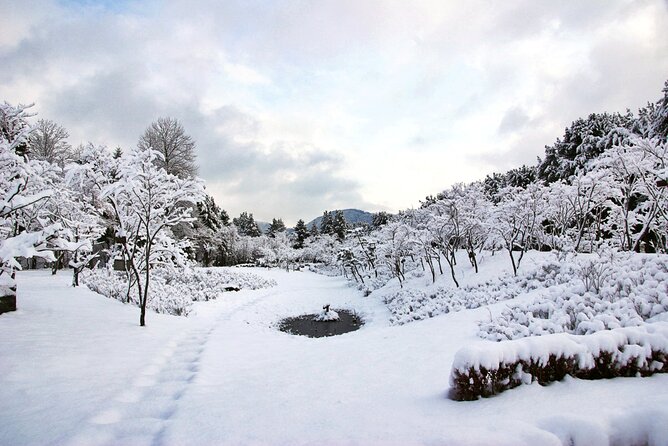 Elysian Gangchon Winter Ski with Nami Island Day Tour from Seoul - Nami Island in three and a half hours