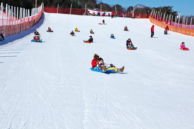 Elysian Gangchon Winter Ski with Nami Island Day Tour from Seoul - What the price really includes