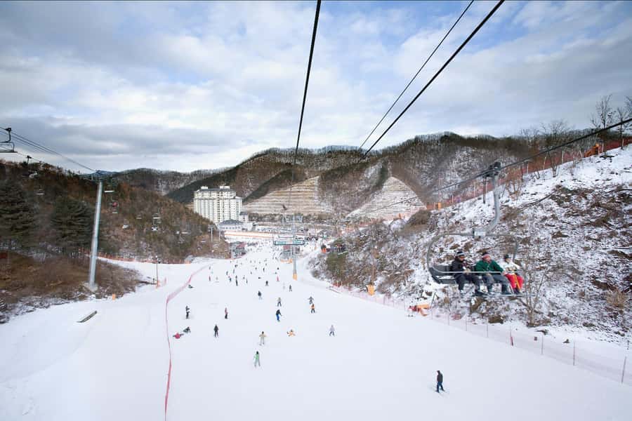 Elysian Ski Day Tour (Ski & Snow Board Full Package) - The 90-minute basic lesson