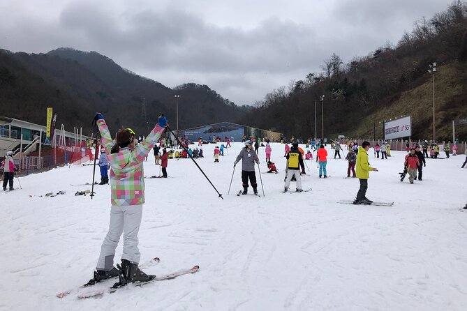 Eobi Ice Valley / Elysian Ski Resort / Nami Island - Starting early from Seoul