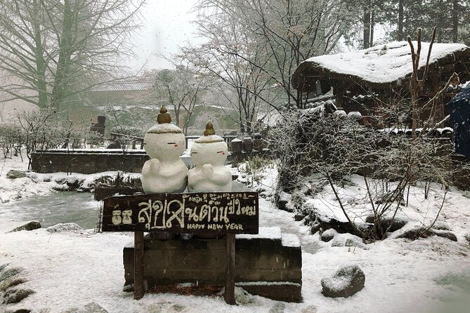 Eobi Ice Valley / Elysian Ski Resort / Nami Island - Who should book this tour