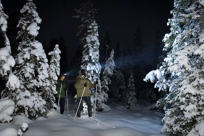 Evening Ski Trek to the Wilderness - Extra Small group - Key points at a glance