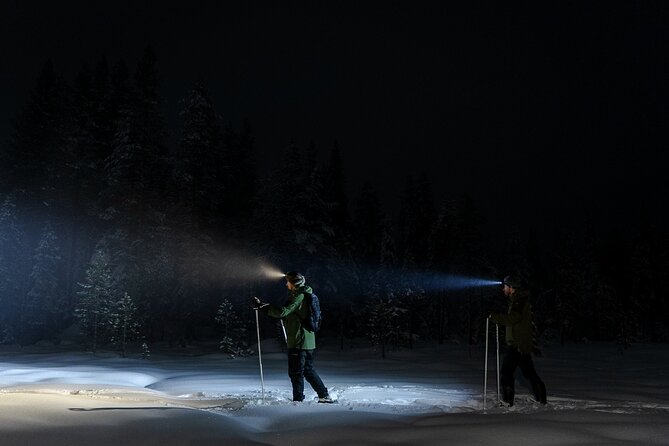 Evening Ski Trek to the Wilderness - Extra Small group - Is the $118.96 price fair?