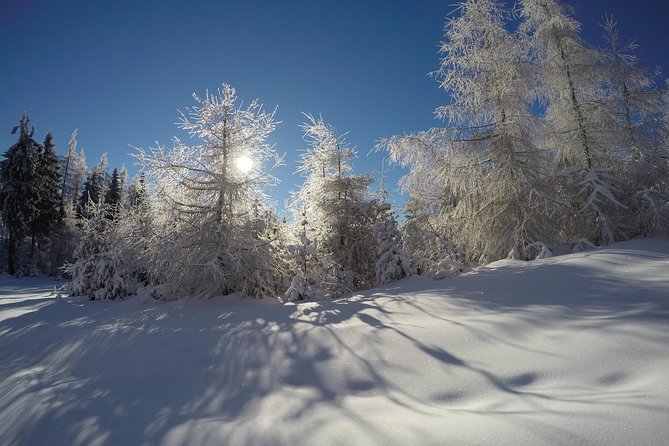From Krakow: Siepraw Skiing for Beginners - What three hours on the snow feels like