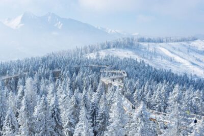 Slovakia Treetop Walk and Bachledka Ski