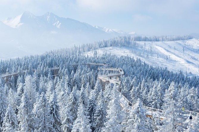 From Kraków: Slovakia Treetop Walk and Bachledka Ski - Bachledka’s treetop walk and mountain views