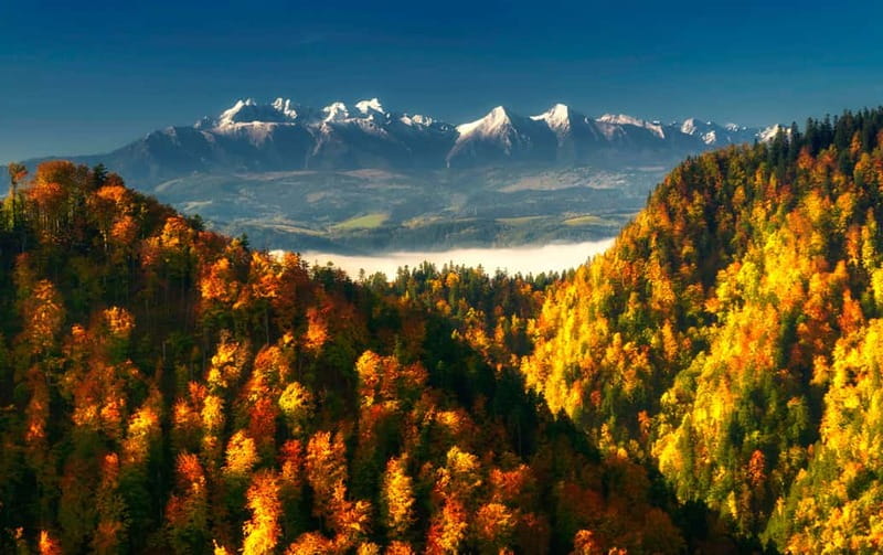 From Kraków: Witów Skiing and Zakopane Tour - Krupowki Street gives you Zakopane in one walk