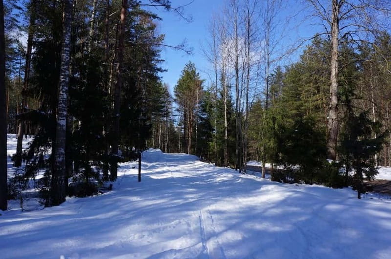 From Riga: Cross-country skiing and beating heart memorial - When Snow Is Missing, the Plan Changes