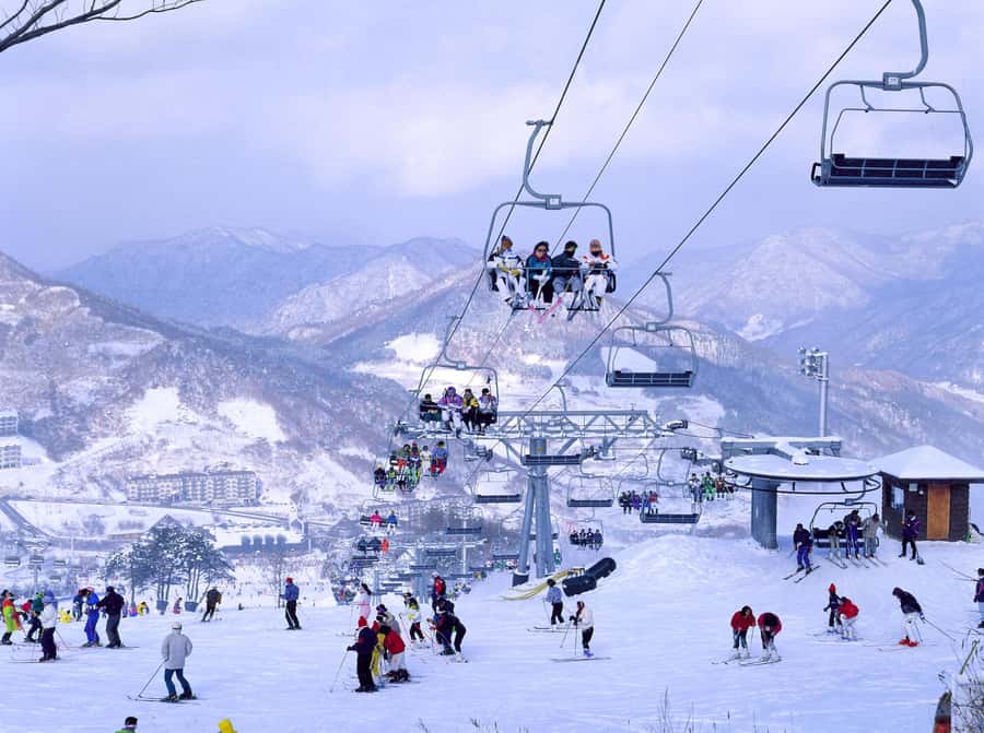 From Seoul: Korea Ski Tour - Jisan Forest Resort - Leaving Seoul early for Jisan Forest Resort