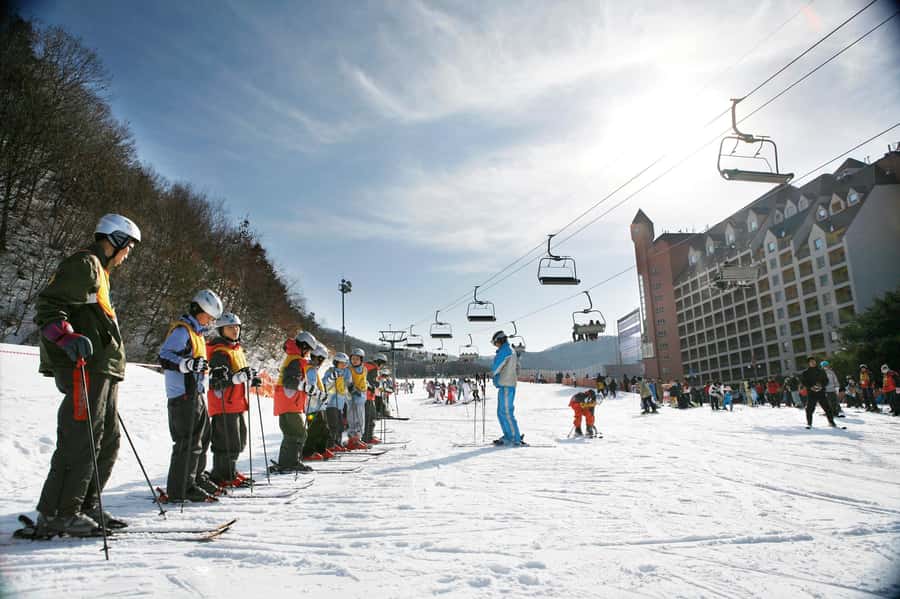 From Seoul: Korea Ski Tour - Jisan Forest Resort - The 120-minute lesson for first-time skiers