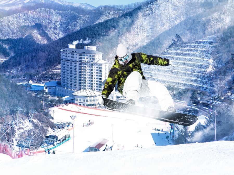 From Seoul: Korea Ski Tour - Jisan Forest Resort - Who should book this day trip