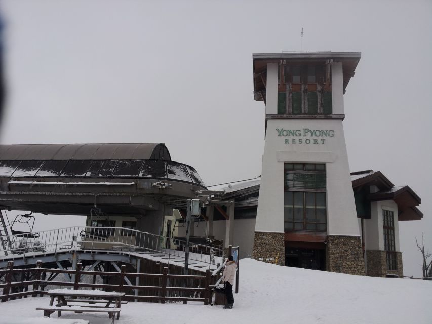 From Seoul: Yongpyong Ski Day Tour with Transportation - Why Yongpyong makes sense for a Seoul winter day