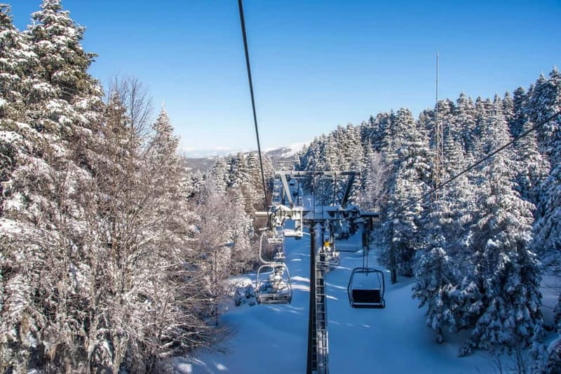 From Tbilisi: Borjomi and Bakuriani Ski Resort Private Tour - Key points to know before you book