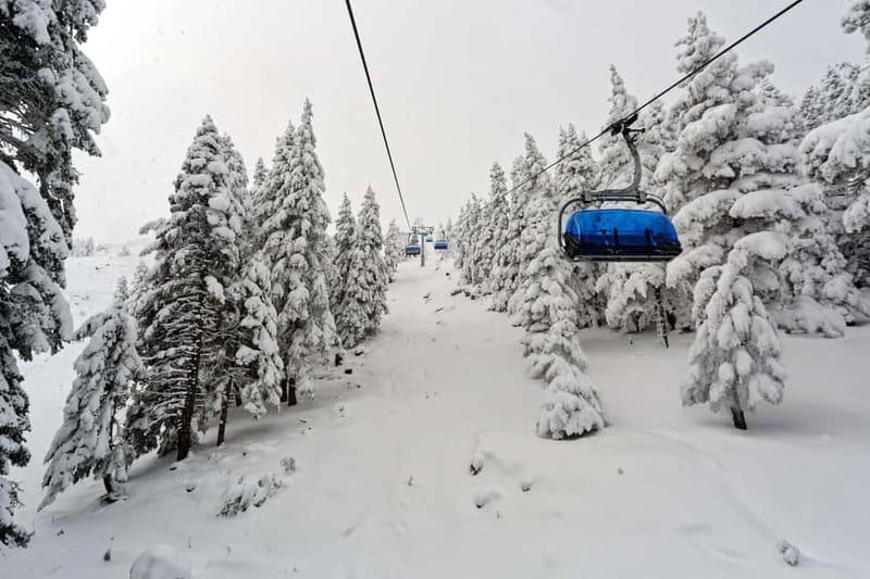 From Tbilisi: Borjomi and Bakuriani Ski Resort Private Tour - A full mountain day from Tbilisi