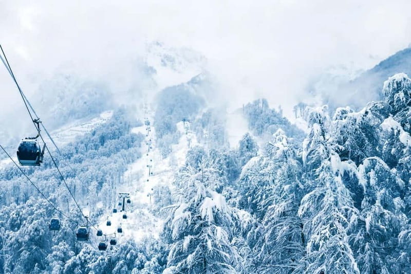 From Tbilisi: Borjomi and Bakuriani Ski Resort Private Tour - Borjomi Central Park and water from the spring