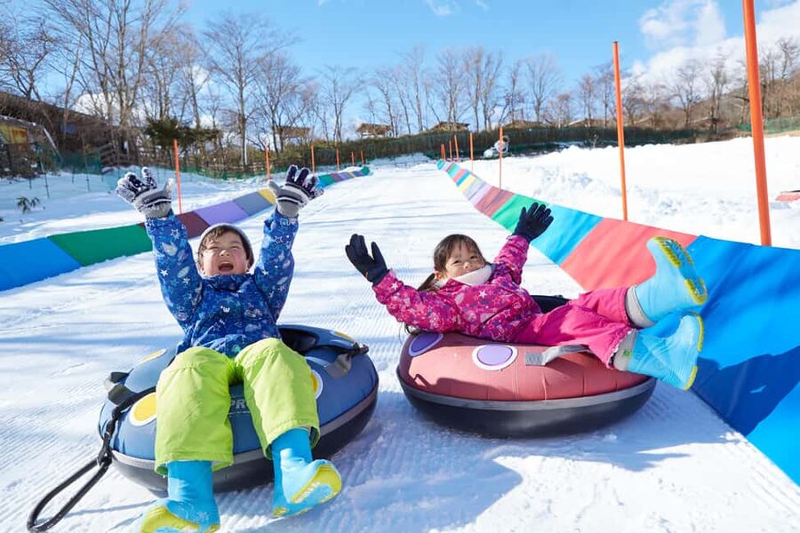 From Tokyo: Fujiyama Snow Resort Yeti Winter Ski Day Tour - The price: good value if you choose the right option