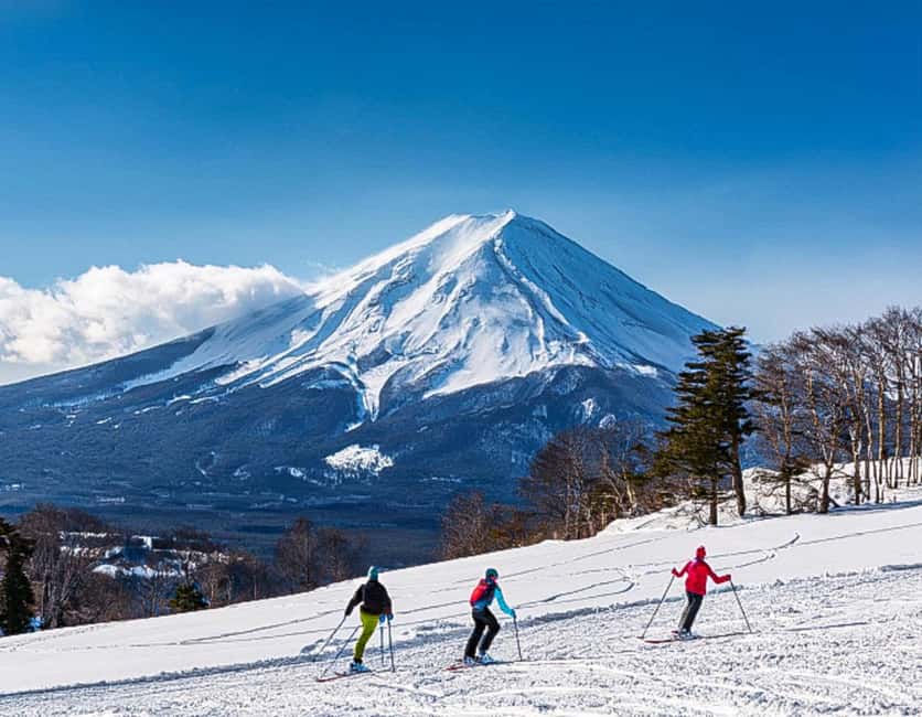 From Tokyo: Fujiyama Snow Resort Yeti Winter Ski Day Tour - Who should book this snow day