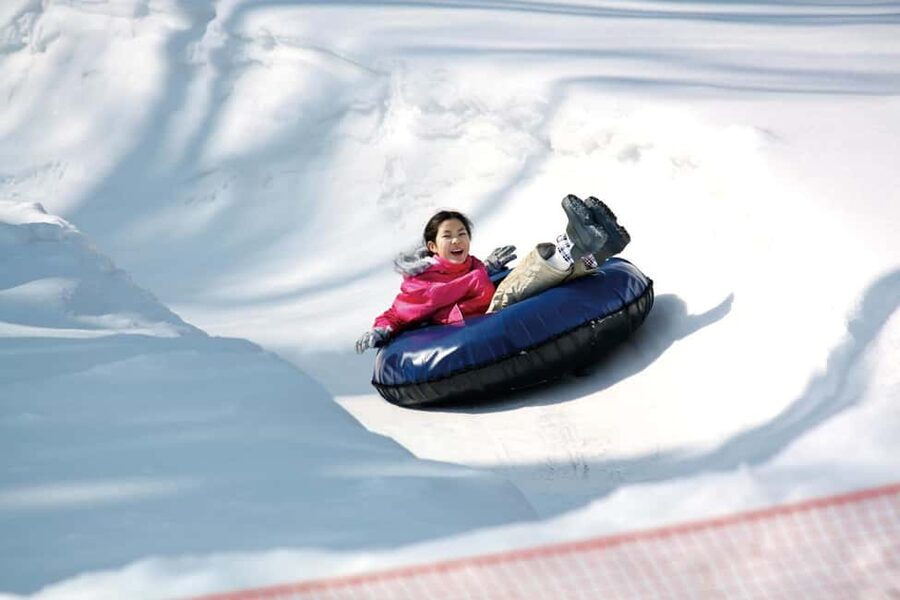 From Tokyo: Fujiyama Snow Resort Yeti Winter Ski Day Tour - Should you book Fujiyama Snow Resort Yeti?