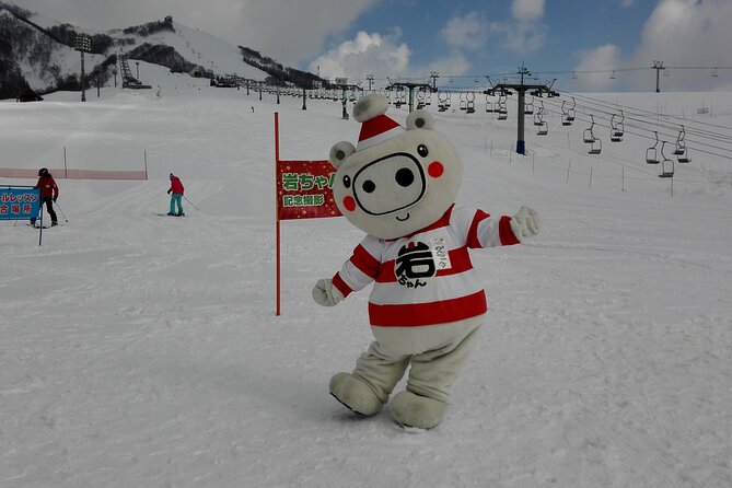 Full Day Ski Lesson (6 hours) in Yuzawa, Japan - Choosing the right instructor and language