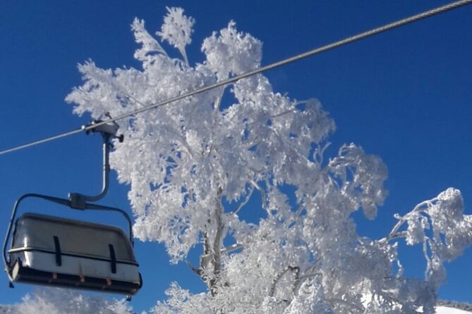 Full Day Ski Lesson (6 hours) in Yuzawa, Japan - Making the most of the six-hour lesson